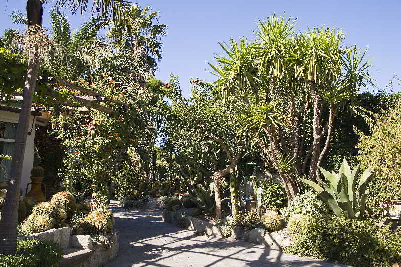 Park Hotel Terme Mediterraneo Forio di Ischia Eksteriør billede